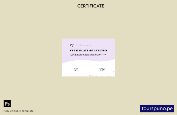 Plantilla de certificado de Análisis General de EE. UU. lista para imprimir